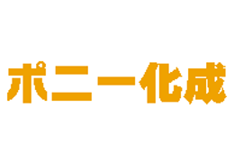 PONYKASEI
